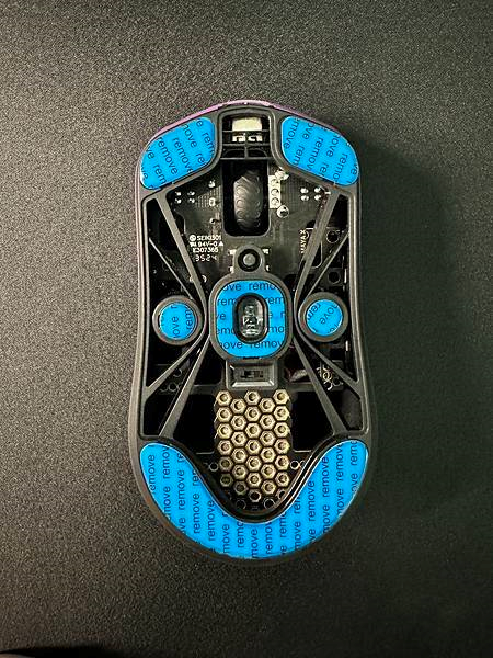 Bottom view of Maya X
